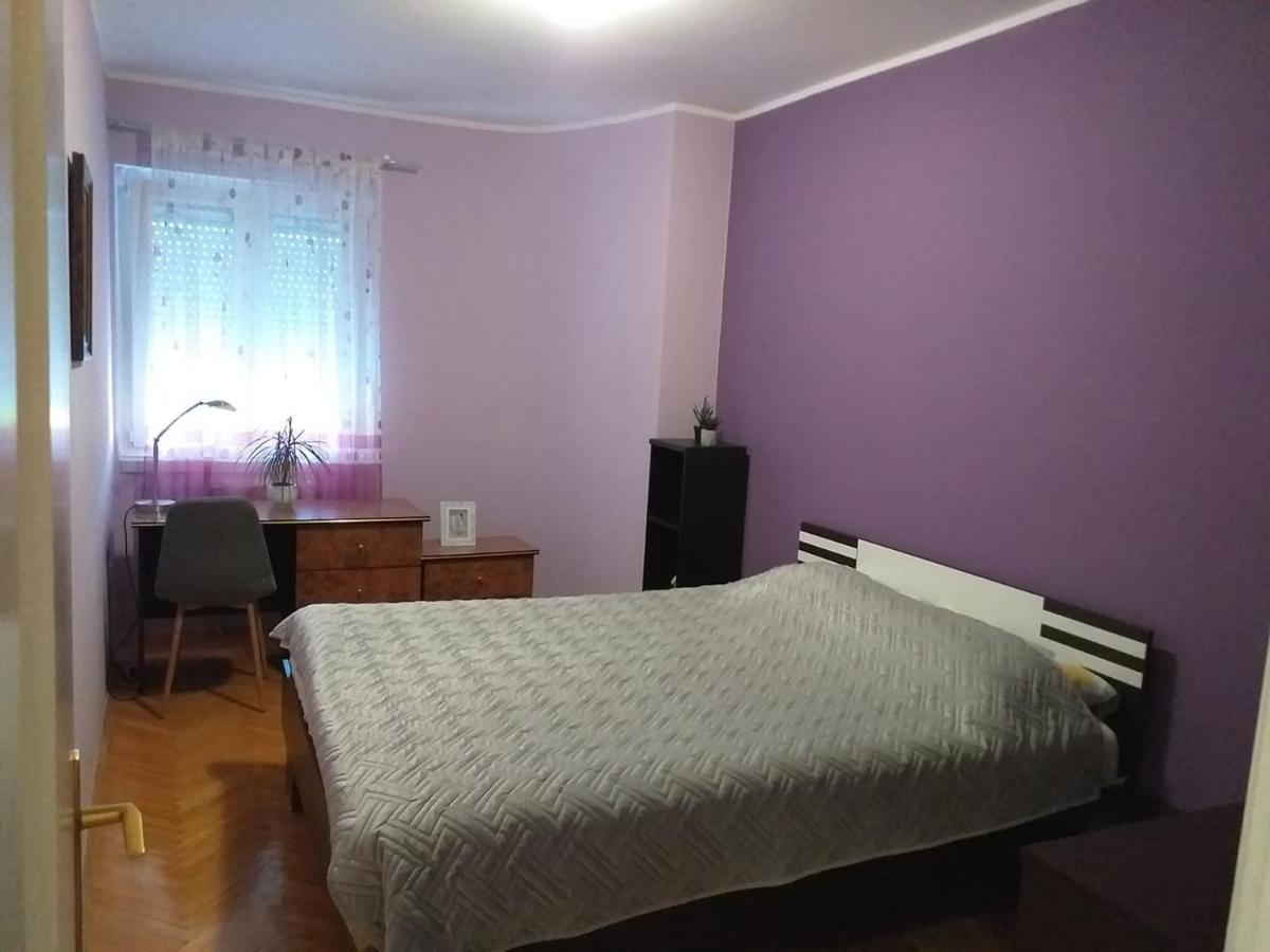 Apartment City Center Novi Sad Bagian luar foto